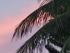 2005 Fogarty Ave in Key West, FL - Building Photo - Building Photo