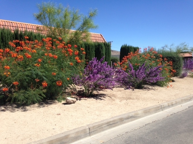 73961 Bannock Trl in Yucca Valley, CA - Building Photo