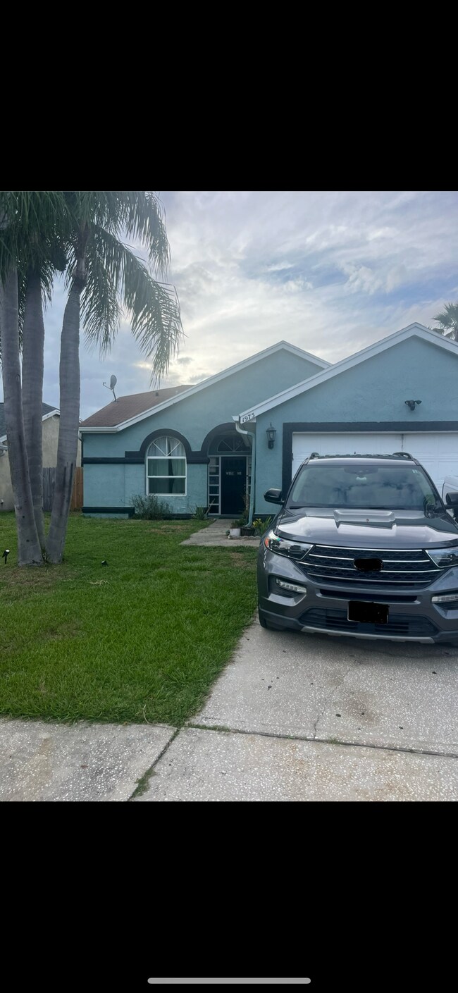 property at 1975 Borga Ct