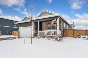 6491 Globeflower St in Wellington, CO - Building Photo