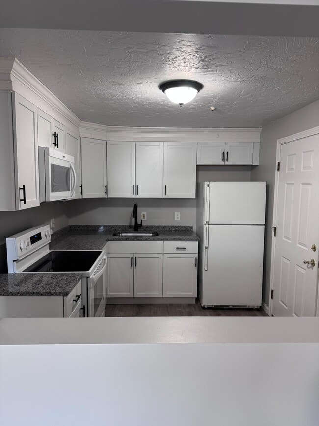 51 Alvarado Ave, Unit 104 in Worcester, MA - Building Photo - Building Photo