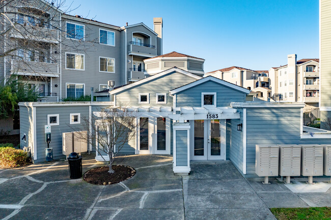 Bridge creek Apartments in Novato, CA - Building Photo - Building Photo