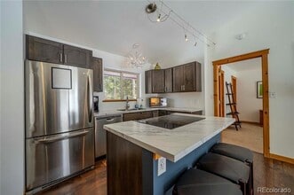 410 Bobcat Ln in Fairplay, CO - Building Photo - Building Photo