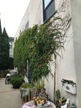 1042 Pearl St, Unit B in Santa Monica, CA - Foto de edificio - Building Photo