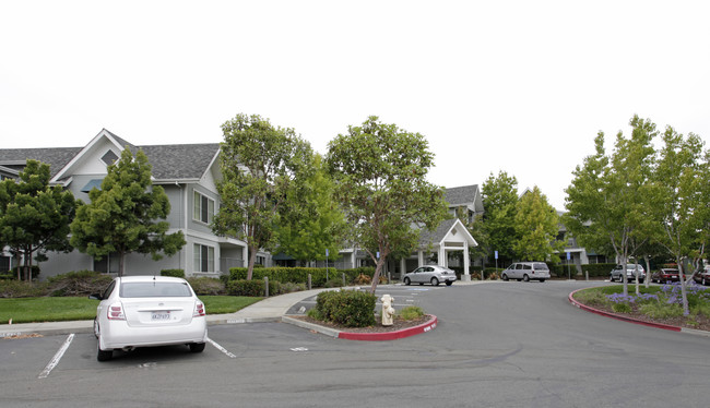 Redwood Shores Senior Apartments in Vallejo, CA - Building Photo - Building Photo