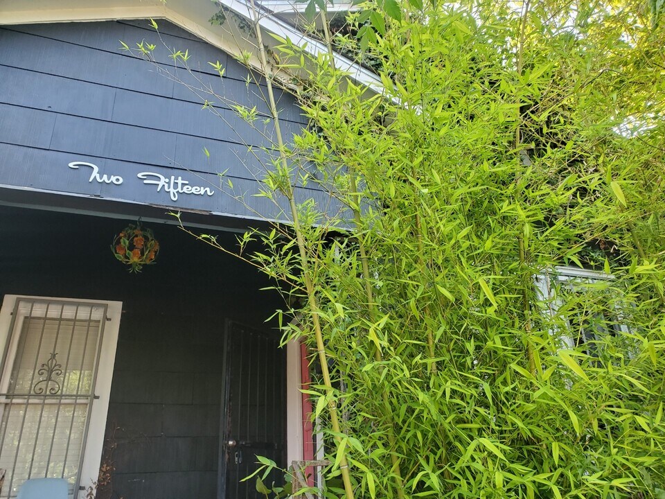 215 Kings Ct in San Antonio, TX - Building Photo