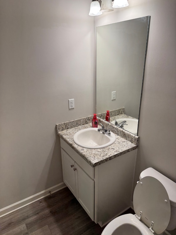 284 Dahoon Dr in Temple, GA - Building Photo - Building Photo