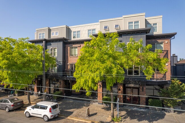Willows on Tenth