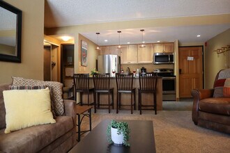 455 Village Rd in Breckenridge, CO - Foto de edificio - Building Photo