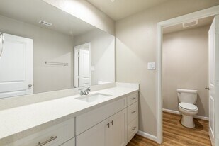 231 Pk Pl Cir in Waller, TX - Building Photo