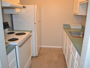 701 W Sycamore St, Unit 306 in Denton, TX - Building Photo - Building Photo