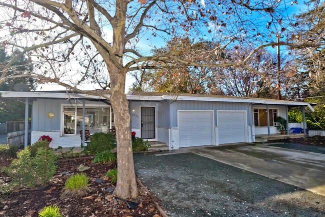 Chestnut Duplex in Concord, CA - Building Photo - Other