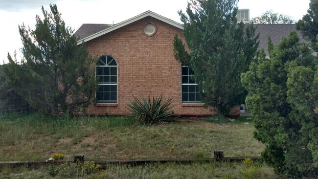 property at 20 Appaloosa Ln