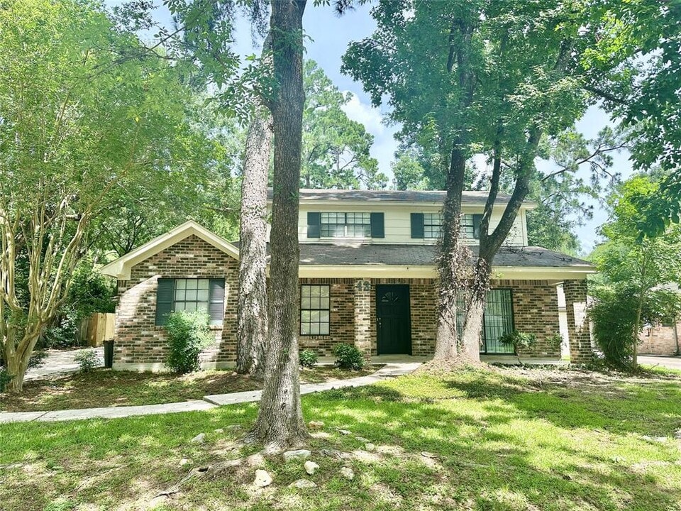 43 W Torch Pine Cir in Spring, TX - Building Photo