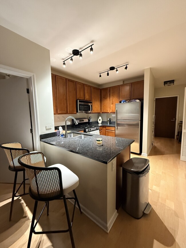 1255 S State St in Chicago, IL - Foto de edificio - Building Photo