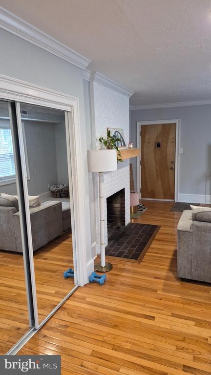 230 Pine St in Philadelphia, PA - Building Photo - Building Photo