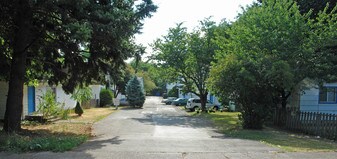 115-133 N Polk St in Eugene, OR - Building Photo