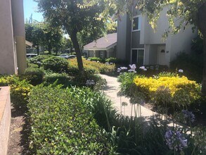 9 Goldenbush in Irvine, CA - Building Photo - Building Photo