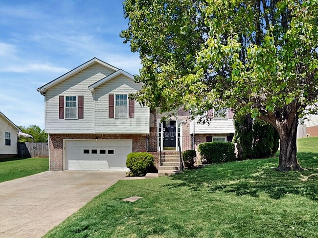 property at 1484 Buchanon Dr