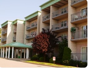 Robinson Manor in Mckees Rocks, PA - Foto de edificio - Building Photo