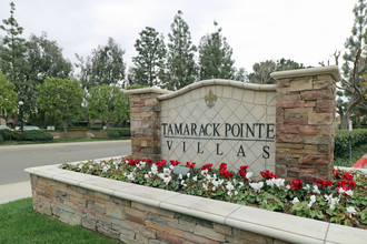 Tamarack Pointe Villas in Brea, CA - Building Photo - Building Photo