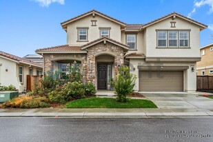 748 Razorbill St