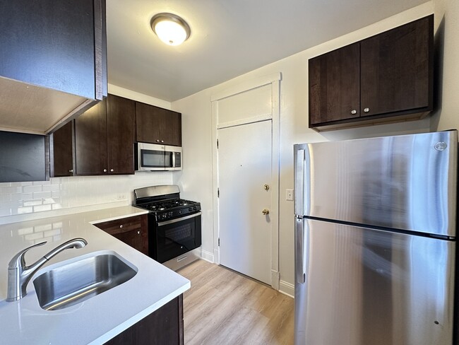 1542 N Kedzie Ave in Chicago, IL - Foto de edificio - Building Photo