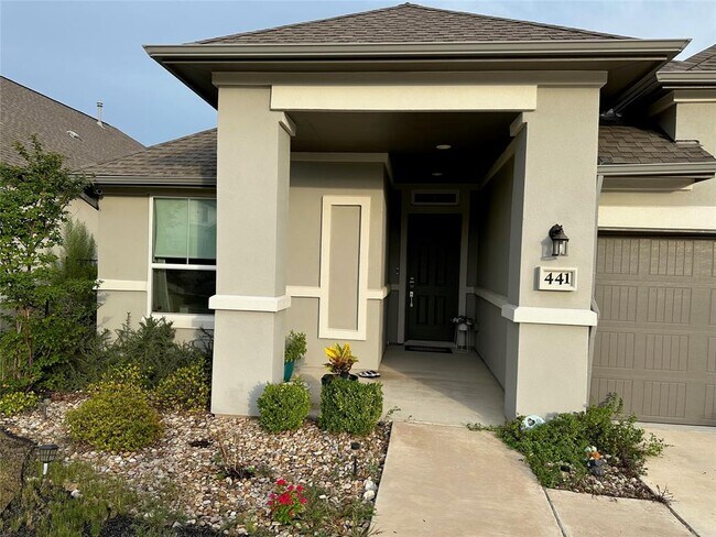 441 Saturnia Dr in Georgetown, TX - Building Photo - Building Photo