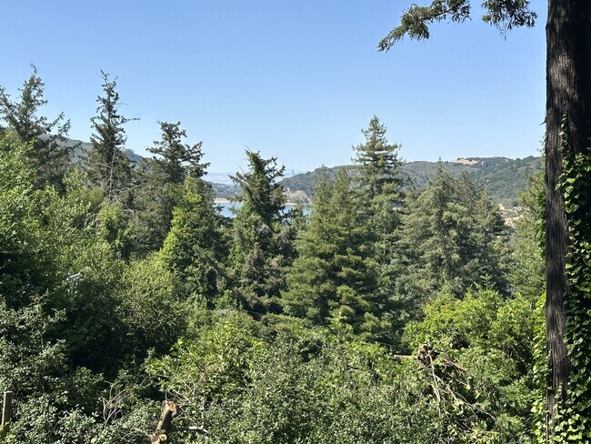 20470 Santa Cruz Hwy in Los Gatos, CA - Building Photo - Building Photo
