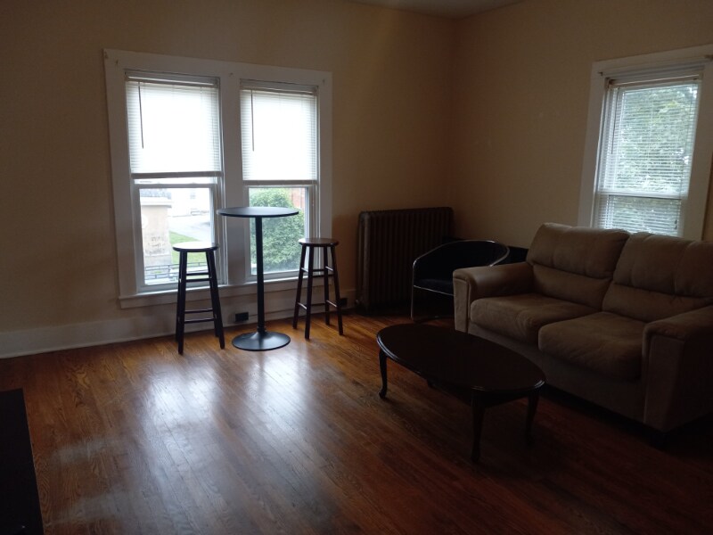 33 Lincoln Ave in Cortland, NY - Building Photo