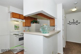 Lighthouse Bay in Tampa, FL - Building Photo - Interior Photo