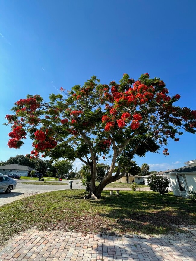 27989 Lance Dr in Bonita Springs, FL - Building Photo - Building Photo