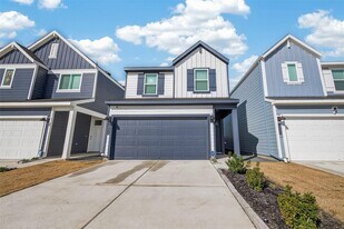 10514 Wellesley Ter Trl in Houston, TX - Building Photo