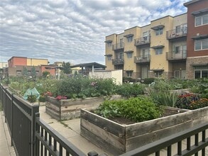 Josephine Commons in Lafayette, CO - Foto de edificio - Building Photo