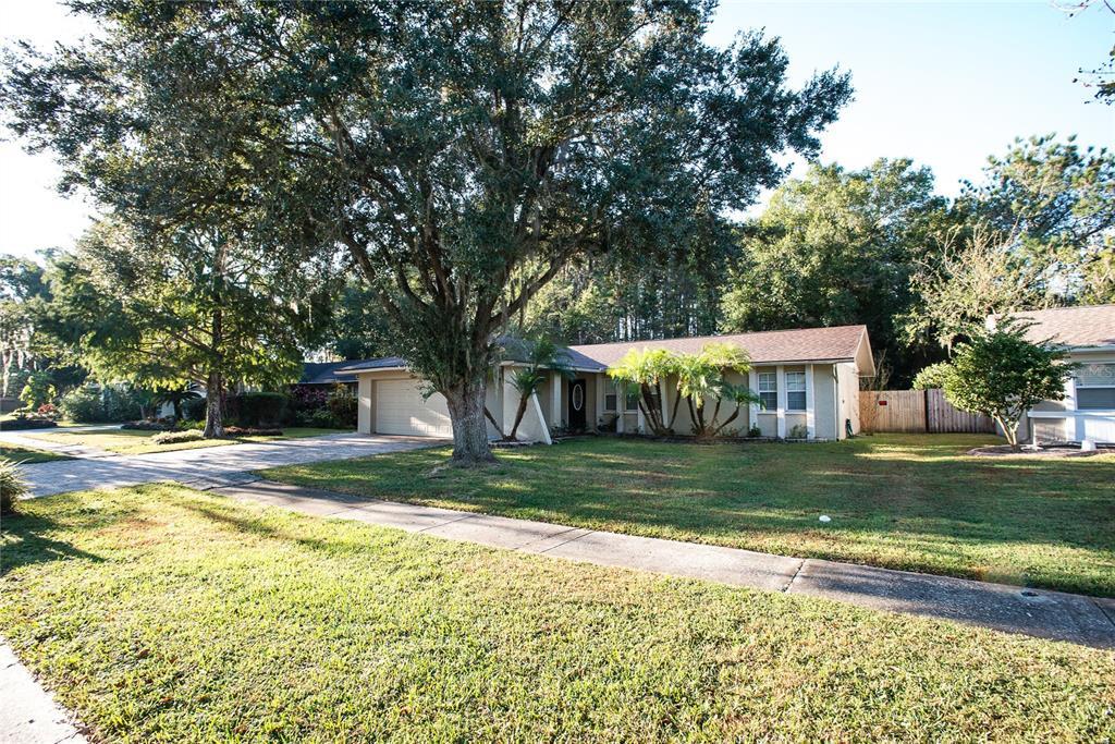 5488 Carrollwood Meadows Dr in Tampa, FL - Building Photo