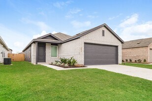 10814 Bird Of Paradise Ln in Houston, TX - Building Photo