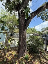 294 NE 57th St in Miami, FL - Building Photo - Building Photo