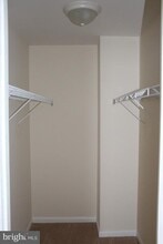 8651 Chester Ct in Easton, MD - Building Photo - Building Photo