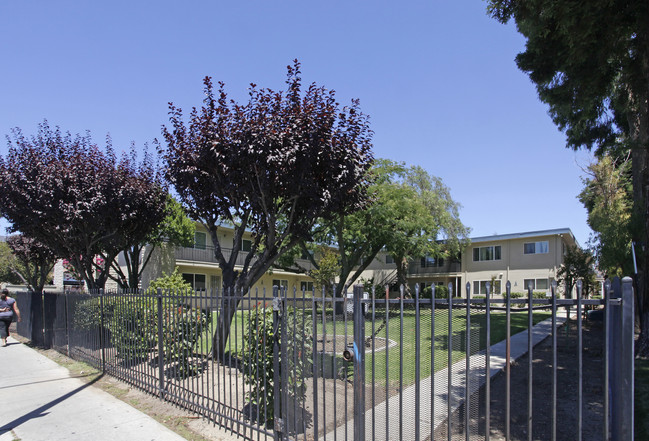 Boxer's Mayfair Village Senior Apartments in San Jose, CA - Building Photo - Building Photo