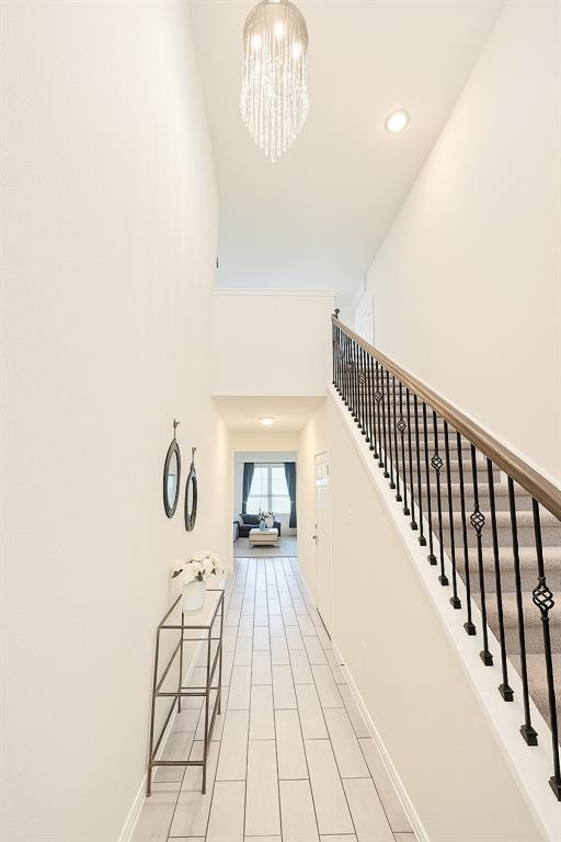 242 Zuma Dr in Georgetown, TX - Building Photo - Building Photo