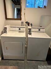 29 Woodlawn St, Unit 1 in Boston, MA - Building Photo - Building Photo