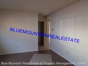 3217 W Bijou St in Colorado Springs, CO - Building Photo - Building Photo