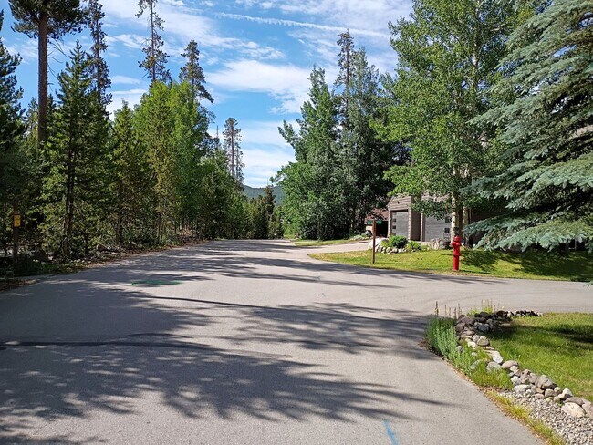 600A Gold Dust Dr in Frisco, CO - Building Photo - Building Photo
