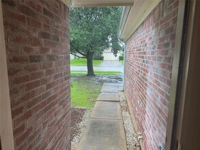 24126 Stargazer Point in Spring, TX - Building Photo - Building Photo
