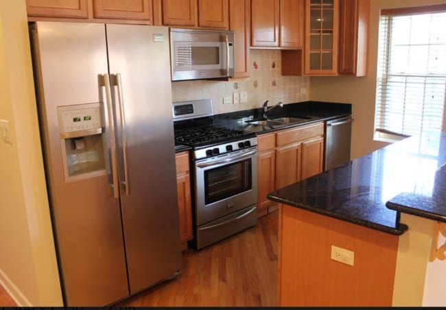 211 Custer Ave in Evanston, IL - Building Photo - Building Photo