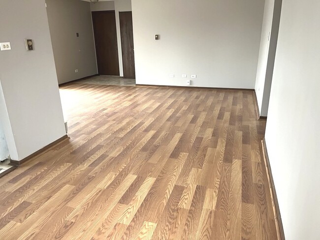 22405 Thomas Dr in Richton Park, IL - Building Photo - Building Photo