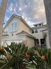 14467 Mirabelle Vista Cir in Tampa, FL - Foto de edificio - Building Photo