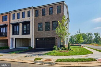 42221 Shining Star Sq in Brambleton, VA - Building Photo - Building Photo