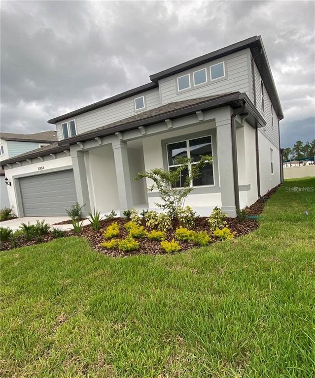 20854 Magnolia Crk Ln in Land O Lakes, FL - Building Photo - Building Photo