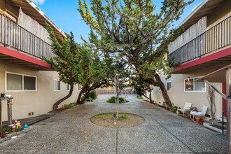 Auletta Apartments in Santa Rosa, CA - Building Photo - Primary Photo